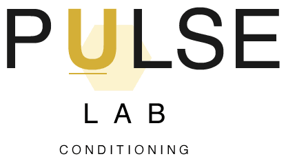 Pulse Lab
